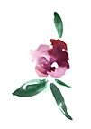 flor dibujada por Cristina Maser como detalle de los datos