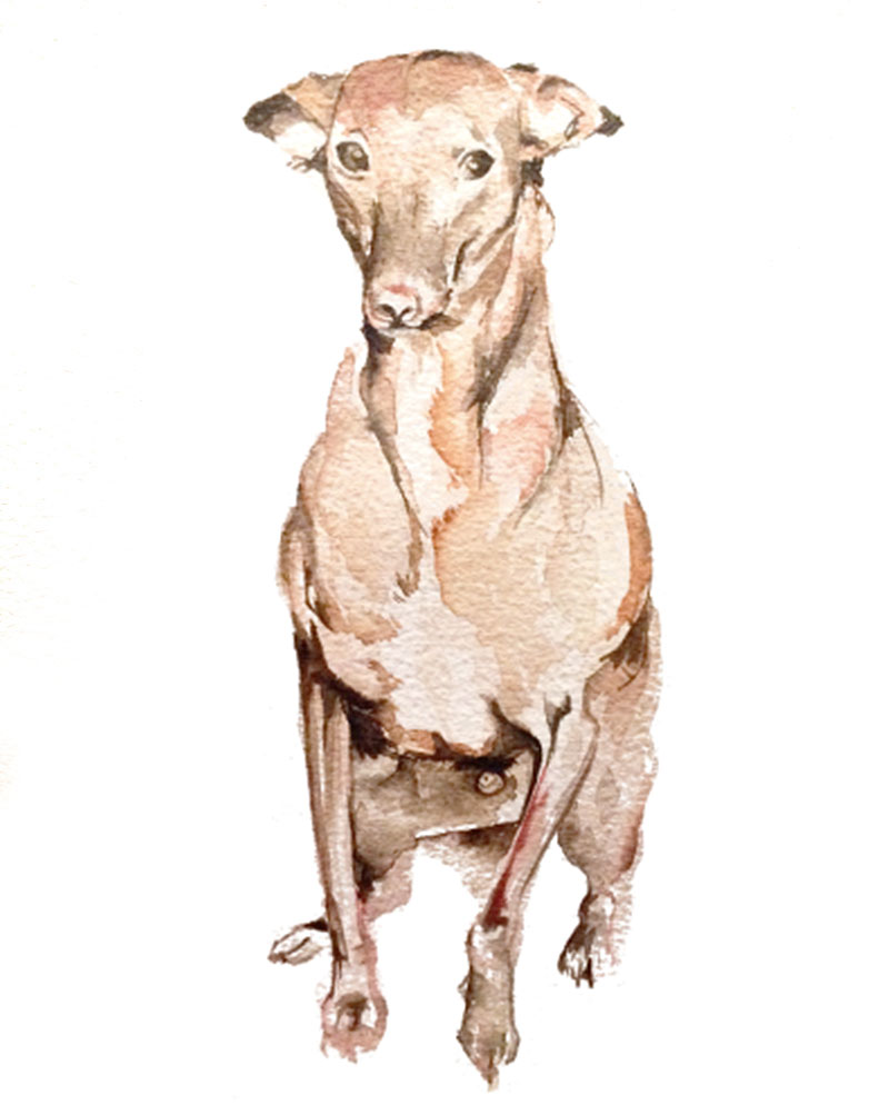 Dibujo de perro