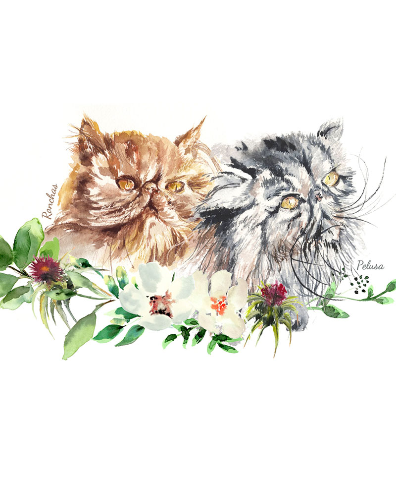 Dibujo de mascota